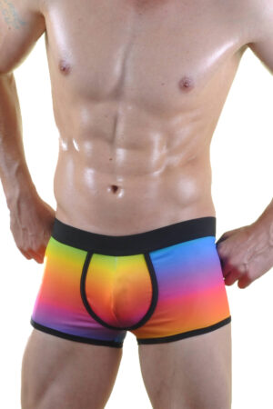 Deluxerie Boxer Homem Calvin 2