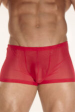 Deluxerie Boxer Homem Charlemagne