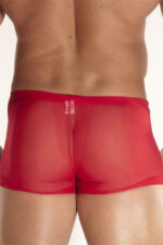 Deluxerie Boxer Homem Charlemagne 2