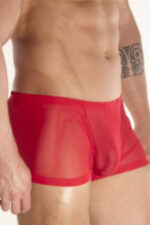Deluxerie Boxer Homem Charlemagne 3
