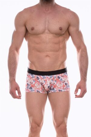 Deluxerie Boxer Homem Coyan 4