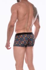 Deluxerie Boxer Homem Crisento 2