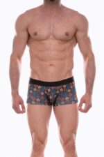 Deluxerie Boxer Homem Crisento 3