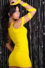 Deluxerie Mini Vestido Roselaine